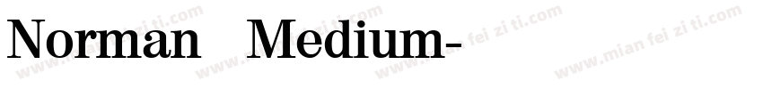 Norman   Medium字体转换